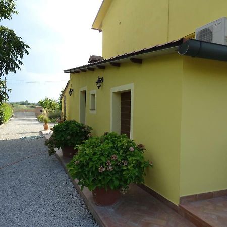 Appartamento Podere I Renai Santa Maria a Monte Εξωτερικό φωτογραφία